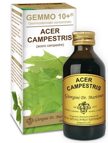 GEMMO 10+ ACERO CAMPESTRE 100 ML LIQUIDO ANALCOLICO - Farmastop