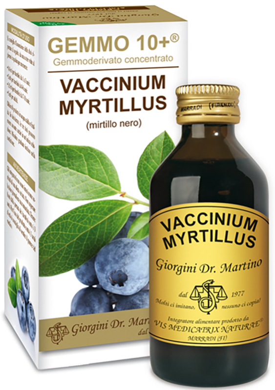 GEMMO 10+ MIRTILLO NERO LIQUIDO AN 100 ML - Farmastop