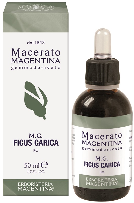 FICUS CARICA MACERATO MAGENTINA 50 ML - Farmastop