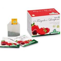 INFUSO BIO FRAGOLA E LAMPONE 20 FILTRI - Farmastop