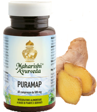 PURAMAP 60 COMPRESSE - Farmastop