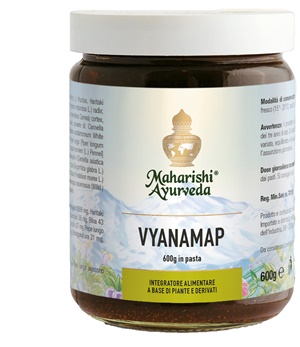 VYANAMAP PASTA 600 G - Farmastop
