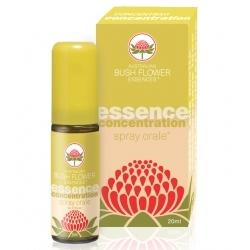 CONCENTRATION SPRAY ORALE 20 ML - Farmastop