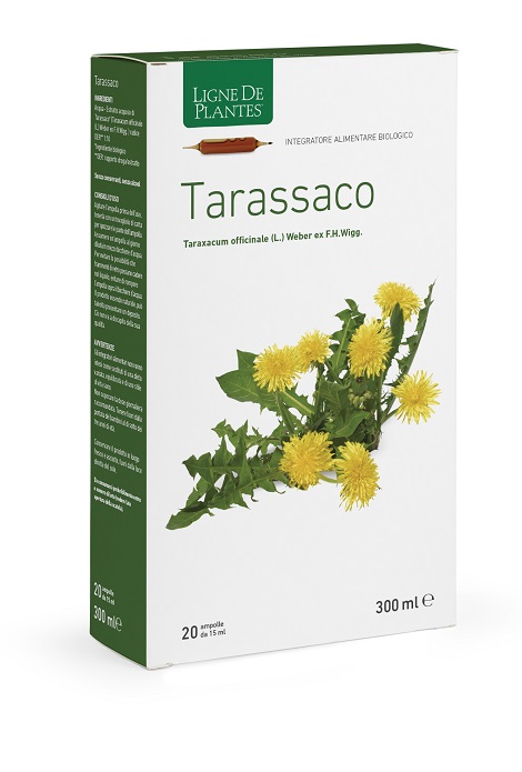 TARASSACO BIOLOGICO 20 AMPOLLE BEVIBILI DA 15 ML - Farmastop