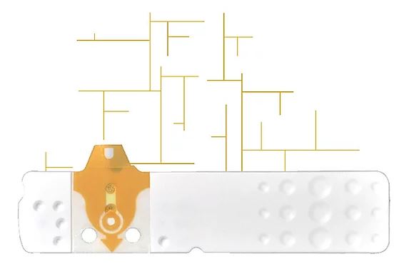 STRISCE MISURAZIONE GLICEMIA LINEA D ORO 50 PEZZI - Farmastop