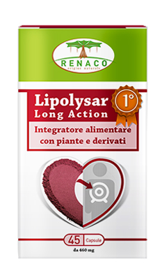 LIPOLYSAR LONG ACTION 45 CAPSULE - Farmastop