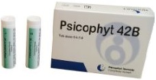 PSICOPHYT REMEDY 42B 4 TUBI 1,2G - Farmastop