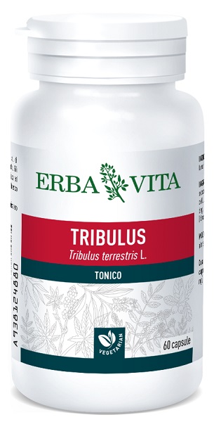 TRIBULUS TERRESTRIS 60 CAPSULE 500 MG - Farmastop