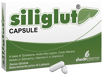 SILIGLUT 20 CAPSULE - Farmastop