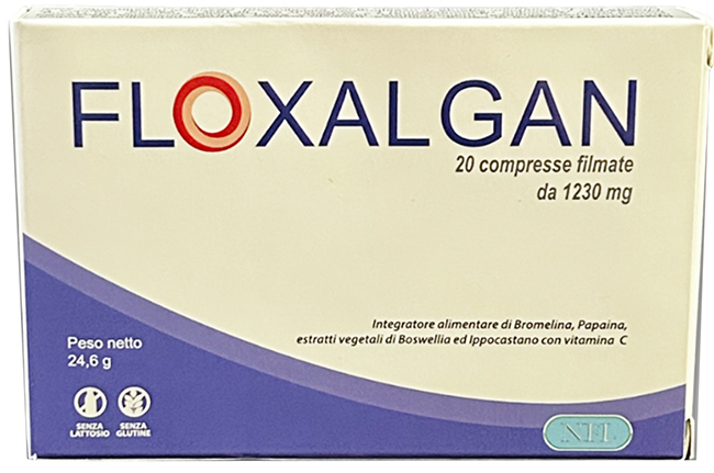 FLOXALGAN 20 COMPRESSE RIVESTITE DA 1,02 G - Farmastop