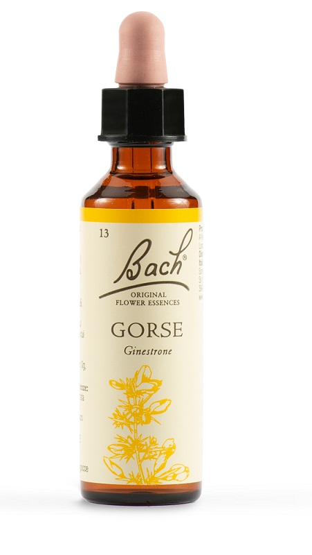 GORSE BACH ORIG 20 ML - Farmastop