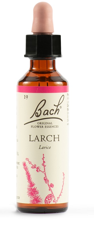 LARCH BACH ORIG 20 ML - Farmastop