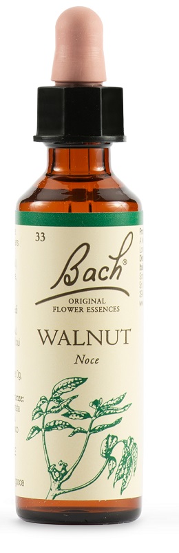 WALNUT BACH ORIG 20 ML - Farmastop