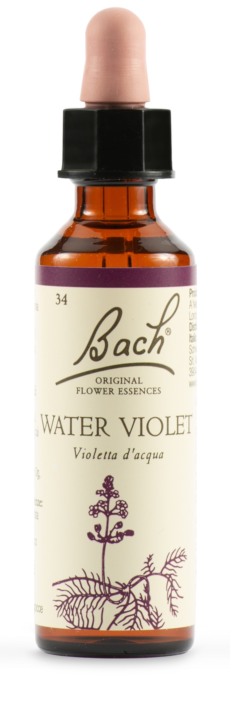 WATER VIOL BACH ORIG 20 ML - Farmastop