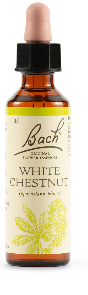 WHITE CHEST BACH ORIG 20 ML - Farmastop