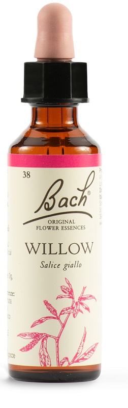 WILLOW BACH ORIG 20 ML - Farmastop