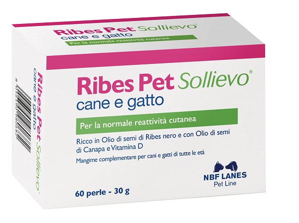 RIBES PET SOLLIEVO BLISTER 60 PERLE - Farmastop