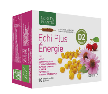 ECHI PLUS ENERGIE 10 AMPOLLE DA 10 ML - Farmastop