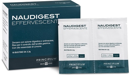 PRINCIPIUM NAUDIGEST 18 BUSTINE - Farmastop