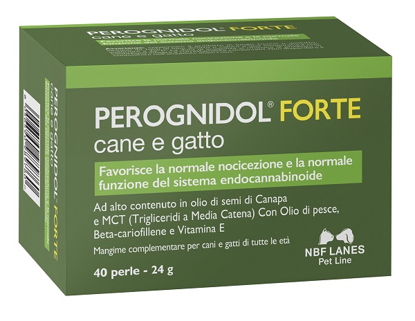 PEROGNIDOL FORTE PERLE - Farmastop