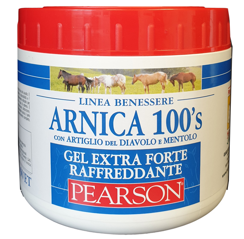 ARNICA 100'S EXTRA FORTE 500 ML - Farmastop