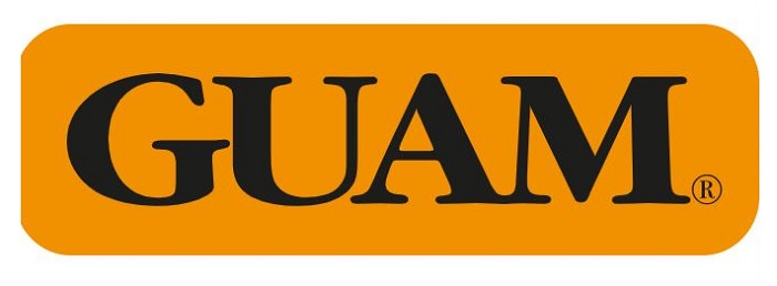 GUAM PANTY VENTRE PIATTO SNELLENTE XS-S 38-40 - Farmastop