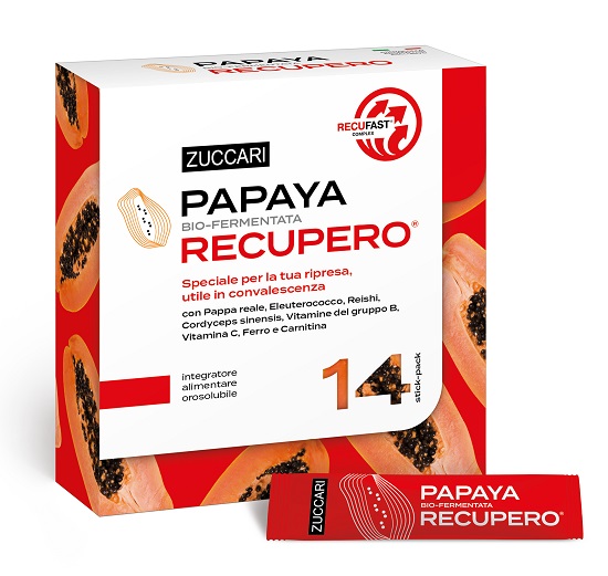 PAPAYA RECUPERO 14 STICK - Farmastop