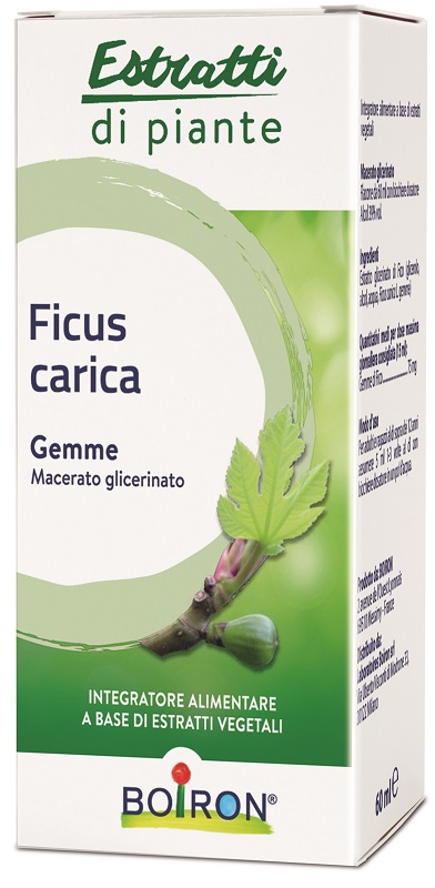 FICUS CARICA GEMME MACERATO GLICERINATO 60 ML INT - Farmastop