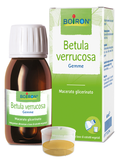 BETULA VERRUCO MACERATO GLICERICO 60 ML INT - Farmastop