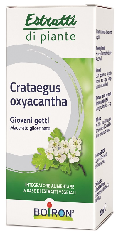 CRATAEGUS OXYACANTHA MACERATO GLICERICO 60 ML INT - Farmastop