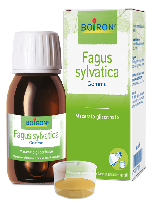 FAGUS SYLVATICA MACERATO GLICERICO 60 ML INT - Farmastop