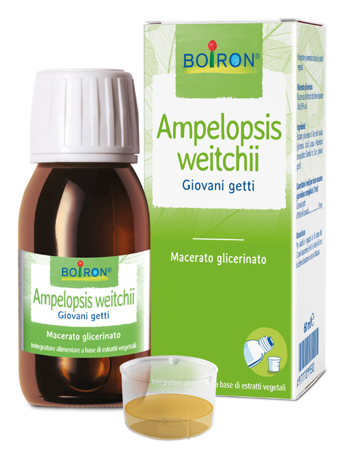 AMPELOPSIS WEITCHII MACERATO GLICERICO 60 ML INT - Farmastop