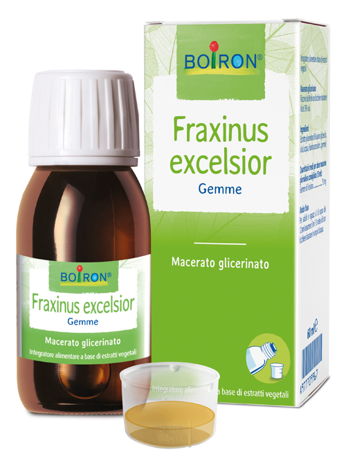FRAXINUS EXCELSIOR MACERATO GLICERICO 60 ML INT - Farmastop