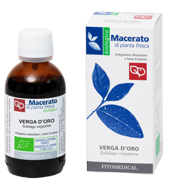 VERGA D'ORO TINTURA MADRE BIO 50 ML - Farmastop
