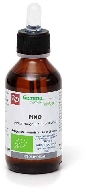 PINO MACERATO GLICERICO 100 ML BIO - Farmastop