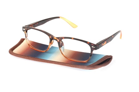 ALVITA OCCHIALE DA LETTURA PREMONTATO CASEY +1,00 - Farmastop