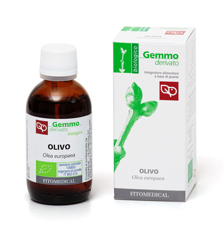 OLIVO MACERATO GLICERINATO BIO 50 ML - Farmastop