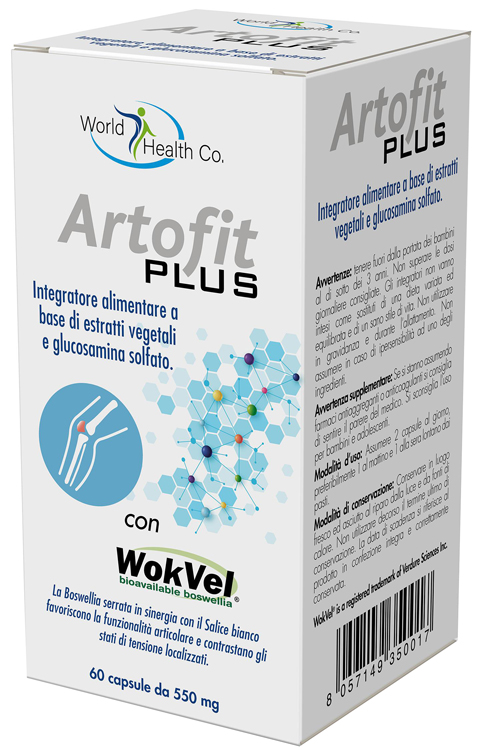ARTOFIT PLUS 60 CAPSULE - Farmastop
