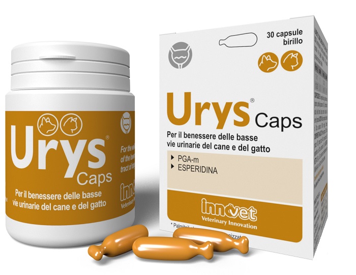 URYS CAPS 30 CAPSULE - Farmastop