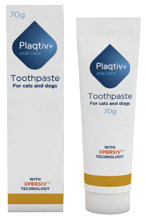 PLAQTIV+ ORAL CARE DENTIFRICIO IN PASTA 70 G - Farmastop